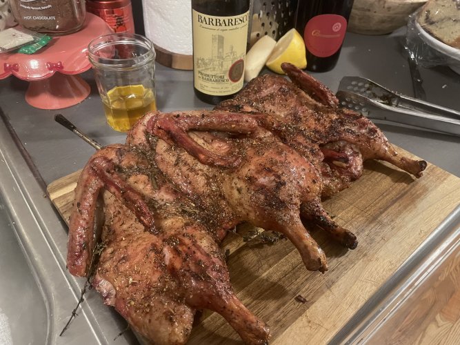 IMG_4519.jpeg IMG_4519.jpeg