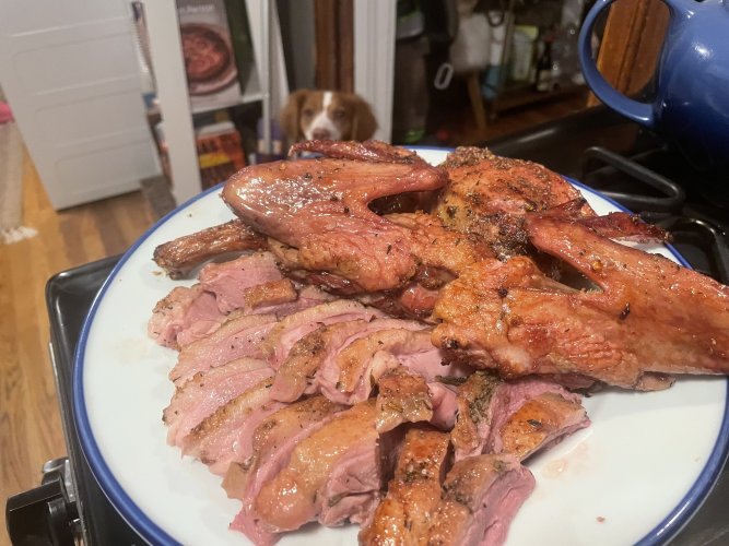 IMG_4521.jpeg IMG_4521.jpeg