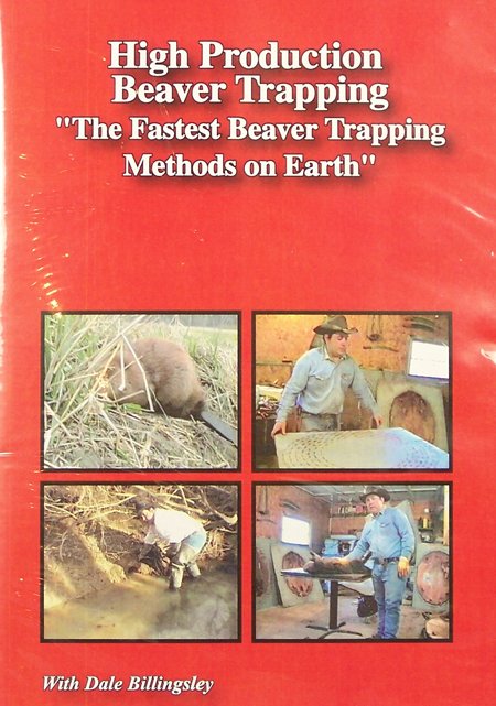 1253469855beaver.jpg 1253469855beaver.jpg