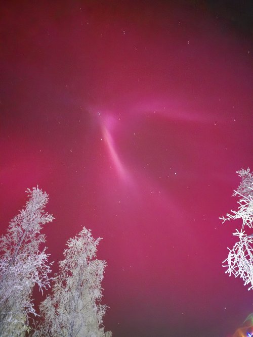 20251111_184430.jpg