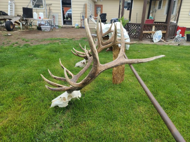 thumbnail_20230604_094845 (1).jpg