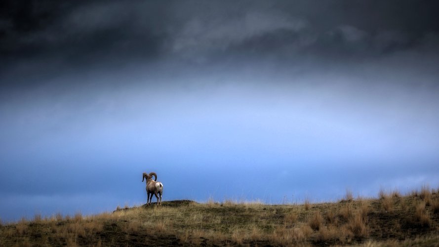 stormy_skies2.jpg
