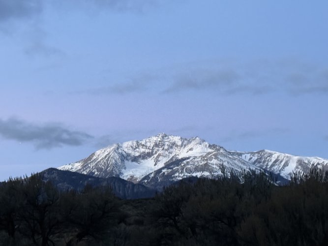 IMG_0872.jpeg IMG_0872.jpeg