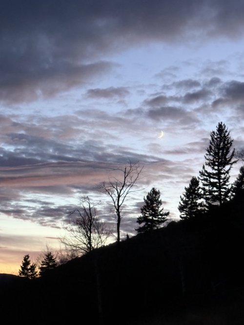 IMG_0941.jpeg IMG_0941.jpeg