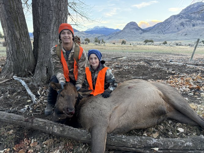 IMG_0905.jpeg IMG_0905.jpeg