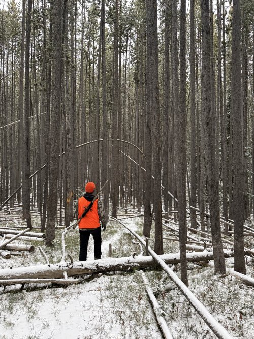 IMG_0960.jpeg IMG_0960.jpeg