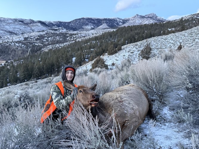 IMG_0978.jpeg IMG_0978.jpeg