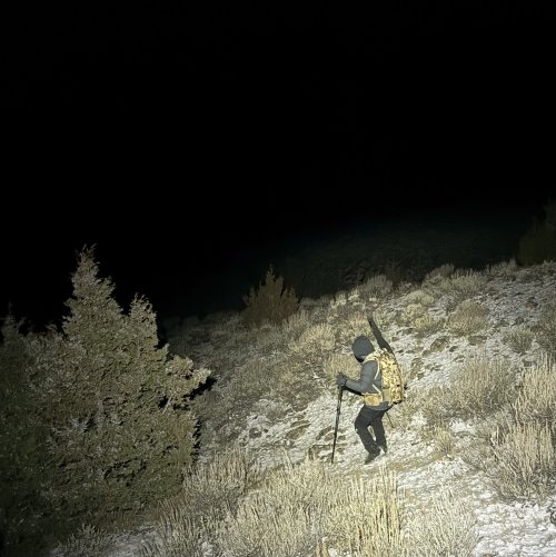 IMG_0988.jpeg IMG_0988.jpeg