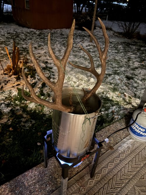 IMG_1004.jpeg IMG_1004.jpeg