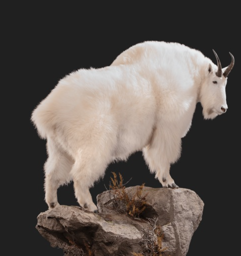 1767189575794.png 1767189575794.png