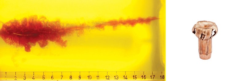 308 cx wallboard.jpg