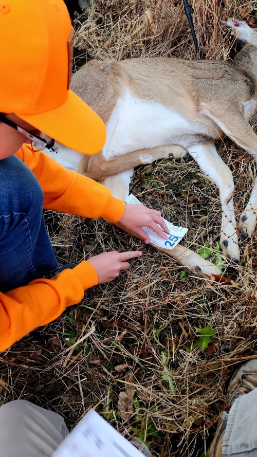 Snapchat-1717447795.jpg Snapchat-1717447795.jpg