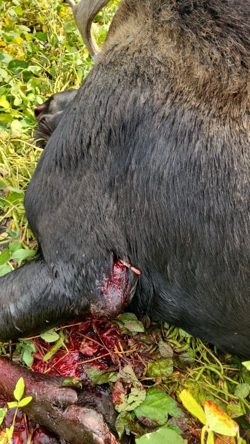 Snapchat-722189511.jpg Snapchat-722189511.jpg