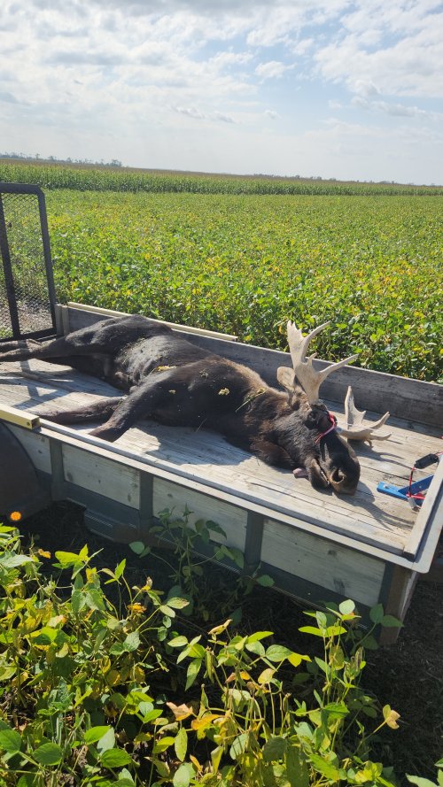 Snapchat-2008156595.jpg Snapchat-2008156595.jpg