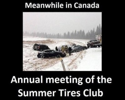 MEANWHILEINCANADA-CHIVEMEDIAGROUP-1.jpg
