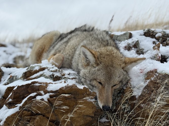 IMG_6790.jpeg IMG_6790.jpeg