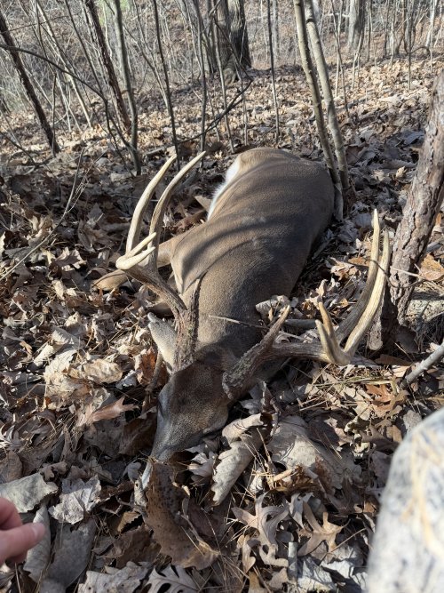 IMG_0882.jpeg IMG_0882.jpeg