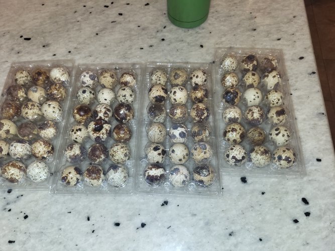 20260103_141508.jpg 20260103_141508.jpg