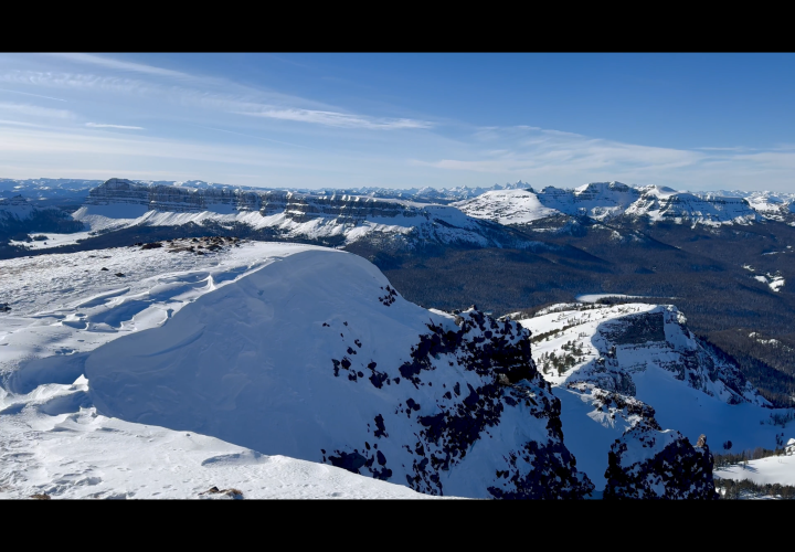 IMG_0805.png