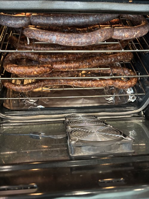 IMG_1920.jpeg IMG_1920.jpeg