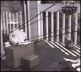 IMG_1474.gif