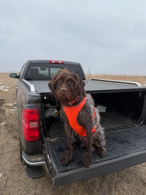 thumbnail_image0 (2).jpg thumbnail_image0 (2).jpg