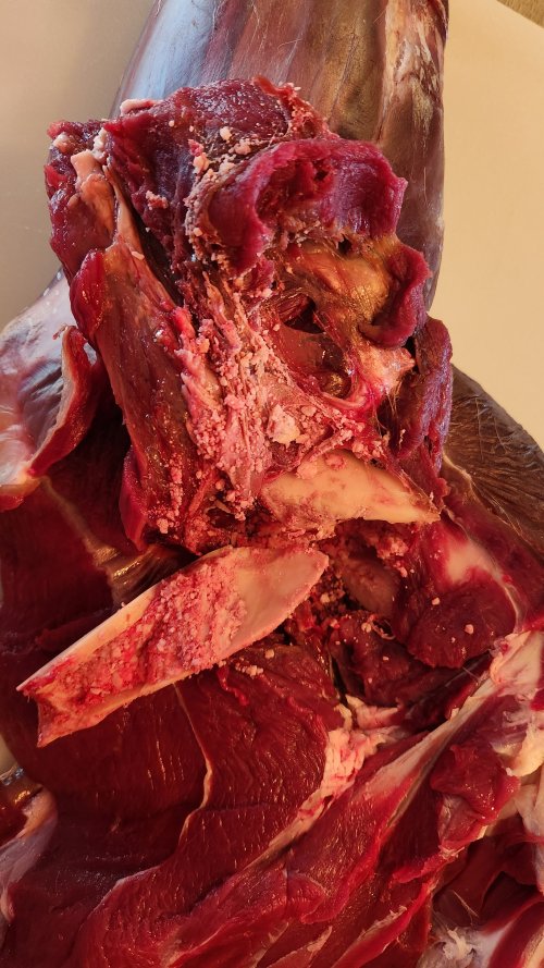 1000021917.jpg 1000021917.jpg