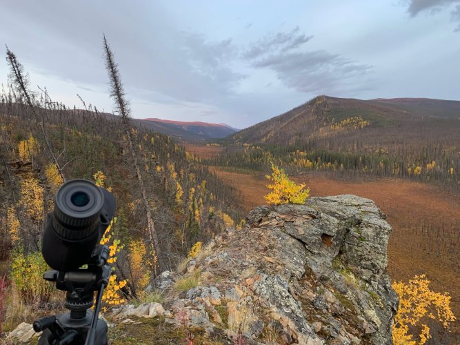 My view.jpg My view.jpg