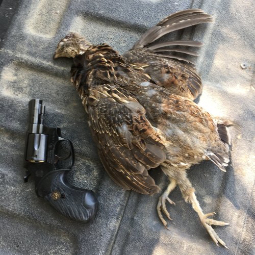 IMG_3040.JPG IMG_3040.JPG