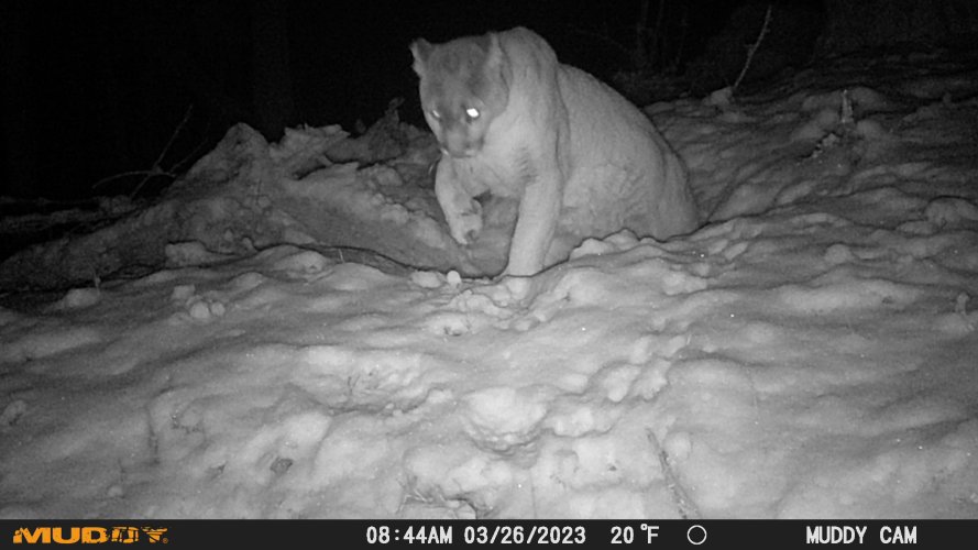 lion den exit 2025.JPG