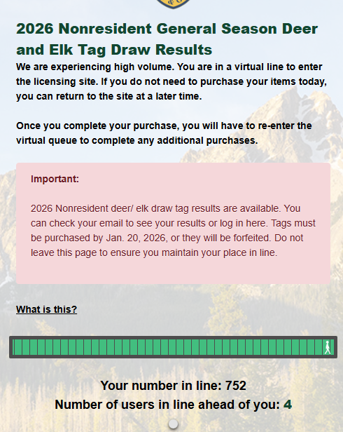 1767734331726.png 1767734331726.png