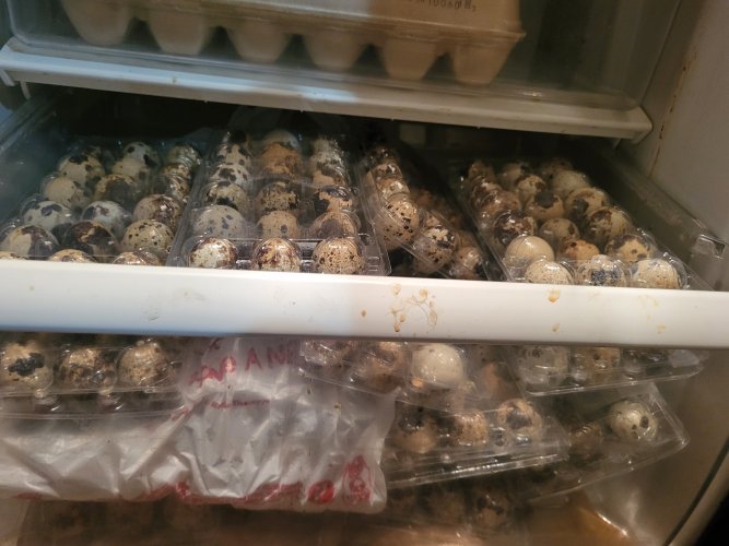 20260106_213834.jpg 20260106_213834.jpg