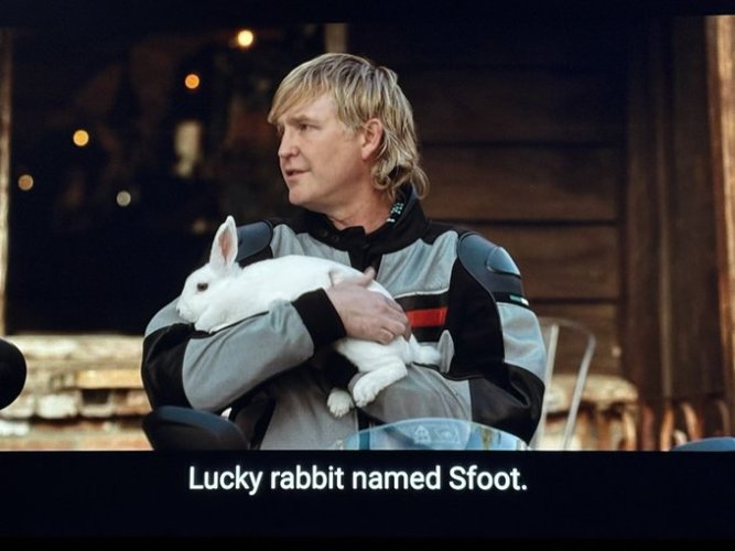 rabbit.jpg