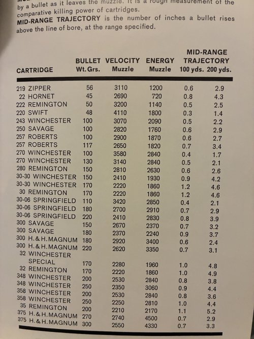 IMG_7043.jpeg IMG_7043.jpeg