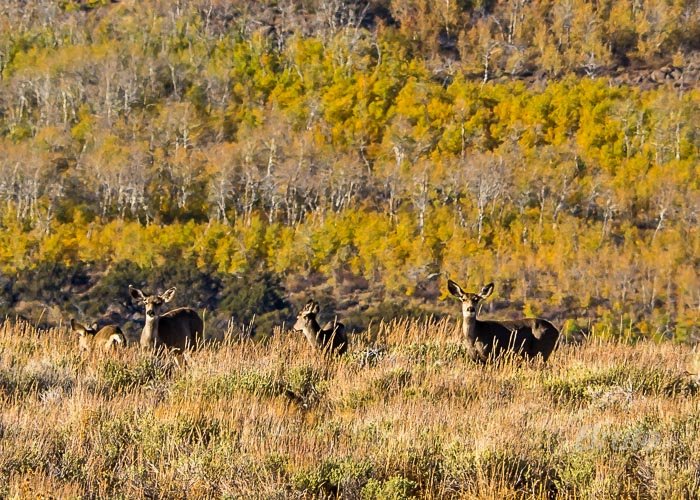 September 2015 a-6176.jpg