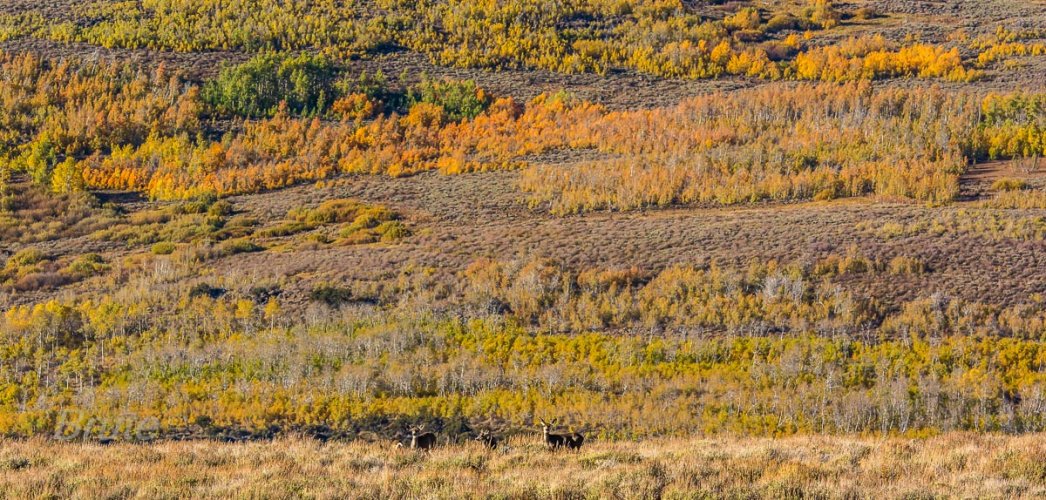 September 2015 a1-6175.jpg