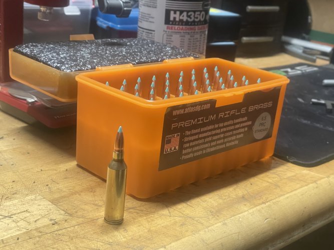 IMG_4539.jpeg IMG_4539.jpeg