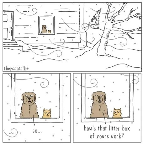 1000007269.jpg