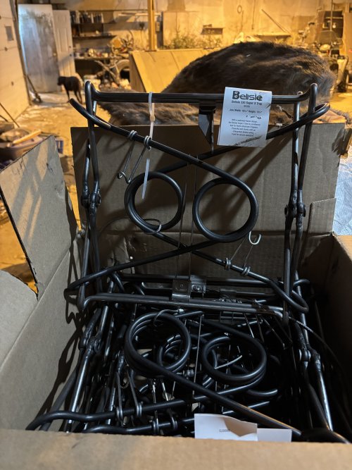 IMG_4107.jpeg IMG_4107.jpeg