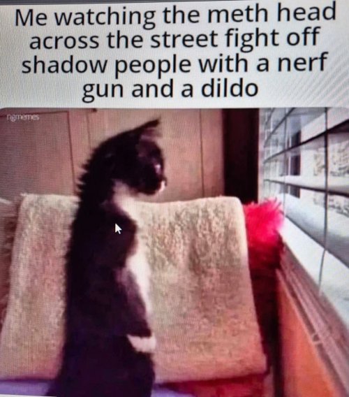 1000023815.jpg