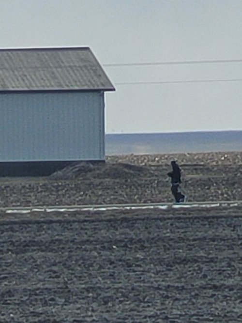 20260117_115439.jpg