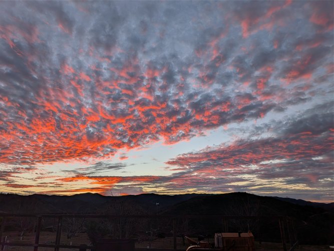 PXL_20260118_151011445.PANO.jpg