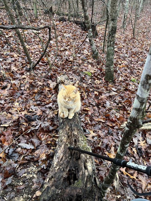 IMG_1678.jpeg IMG_1678.jpeg