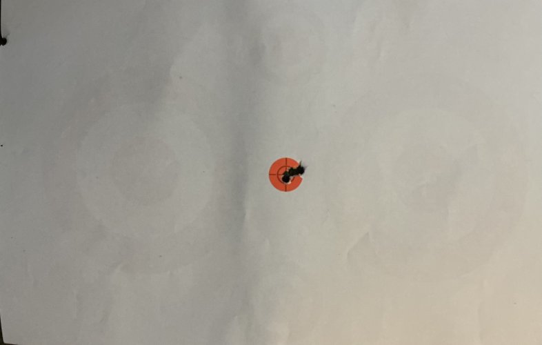 IMG_0035.jpeg IMG_0035.jpeg