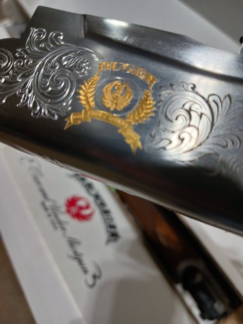 20231204_173144.jpg 20231204_173144.jpg