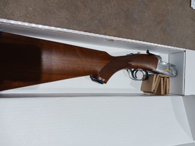 20231204_173006.jpg 20231204_173006.jpg