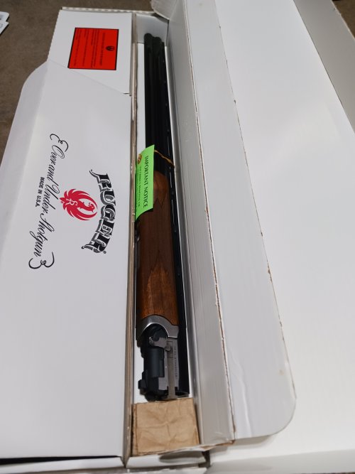 20231204_173035.jpg 20231204_173035.jpg