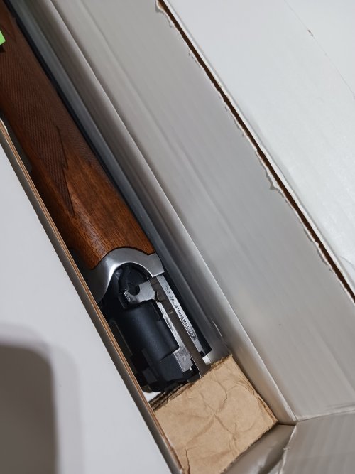 20231204_173042.jpg 20231204_173042.jpg