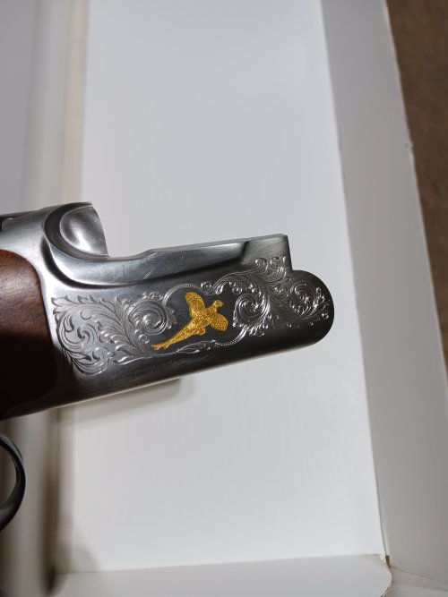 20231204_173109.jpg 20231204_173109.jpg