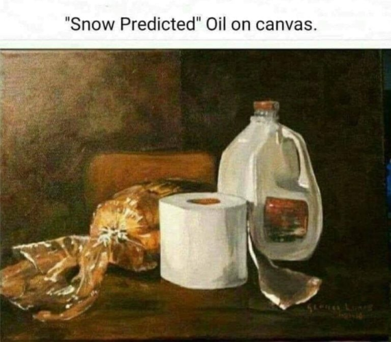 1769101461665.png